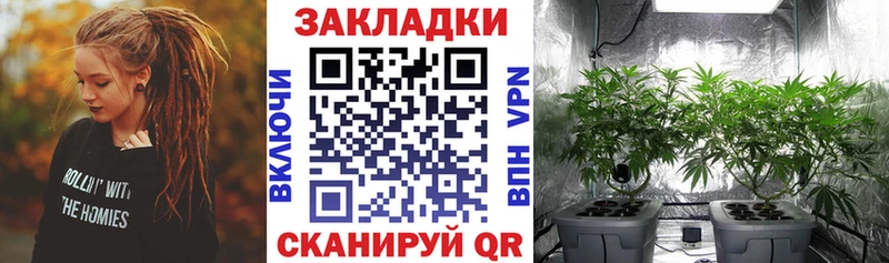 Где найти наркотики Злынка APVP Метадон МЕФ ГАШИШ КОКАИН mega сайт Каннабис