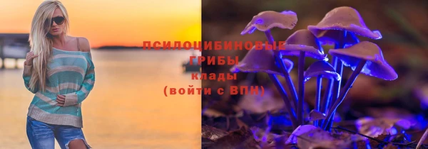 mdpv Долгопрудный