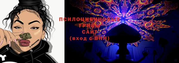 ПСИЛОЦИБИНОВЫЕ ГРИБЫ Артём